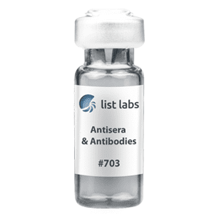 ANTISERA AND ANTIBODIES | Product #703