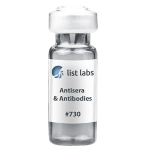 ANTISERA AND ANTIBODIES | Product #730