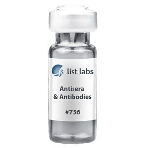 ANTISERA AND ANTIBODIES | Product #756