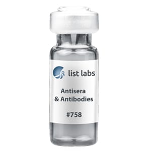 ANTISERA AND ANTIBODIES | Product #758
