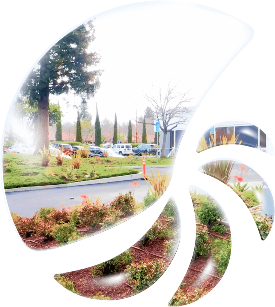 cGMP Manufacturing, Bacterial Toxin Production List Labs