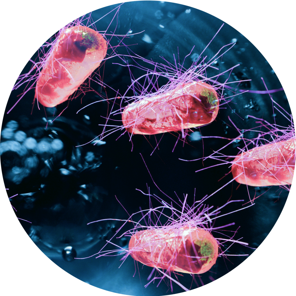 Protein Production for Clinical Trils List Labs