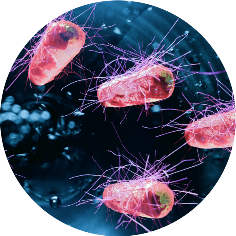 Protein Production for Clinical Trils List Labs