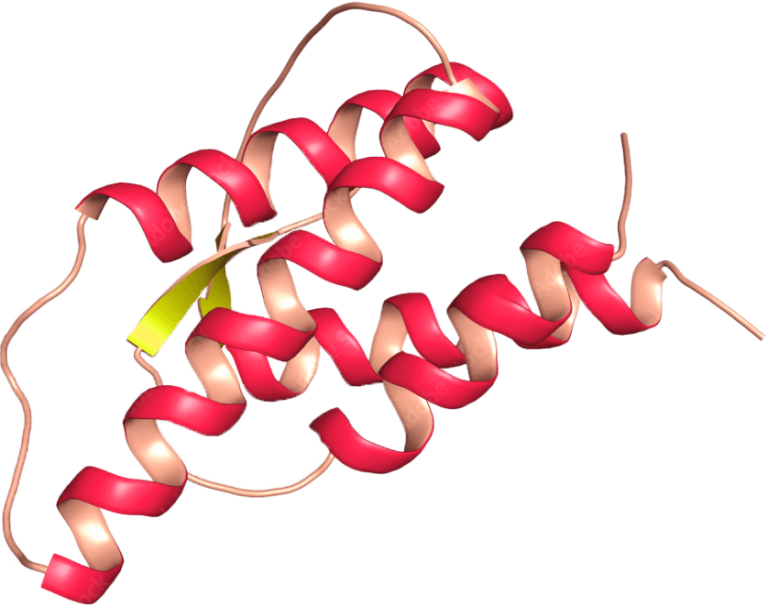 Protein Production for Clinical Trils List Labs